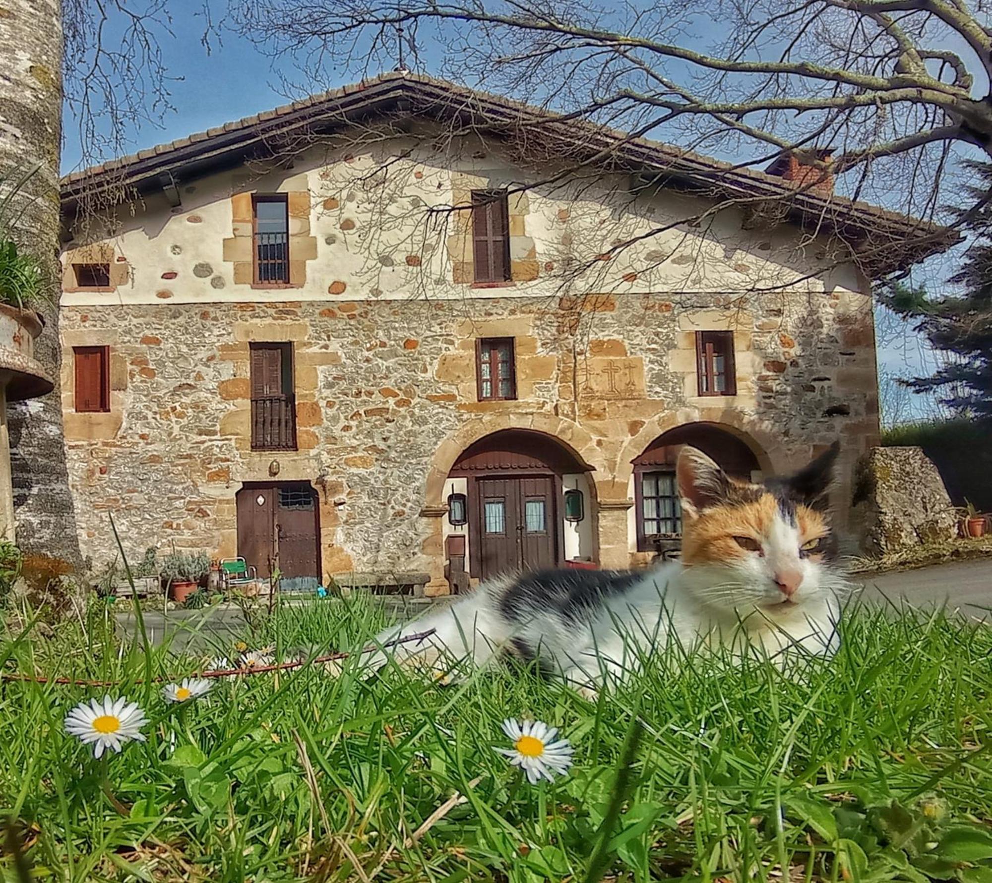 Casa Rural Areano Escoriaza エクステリア 写真