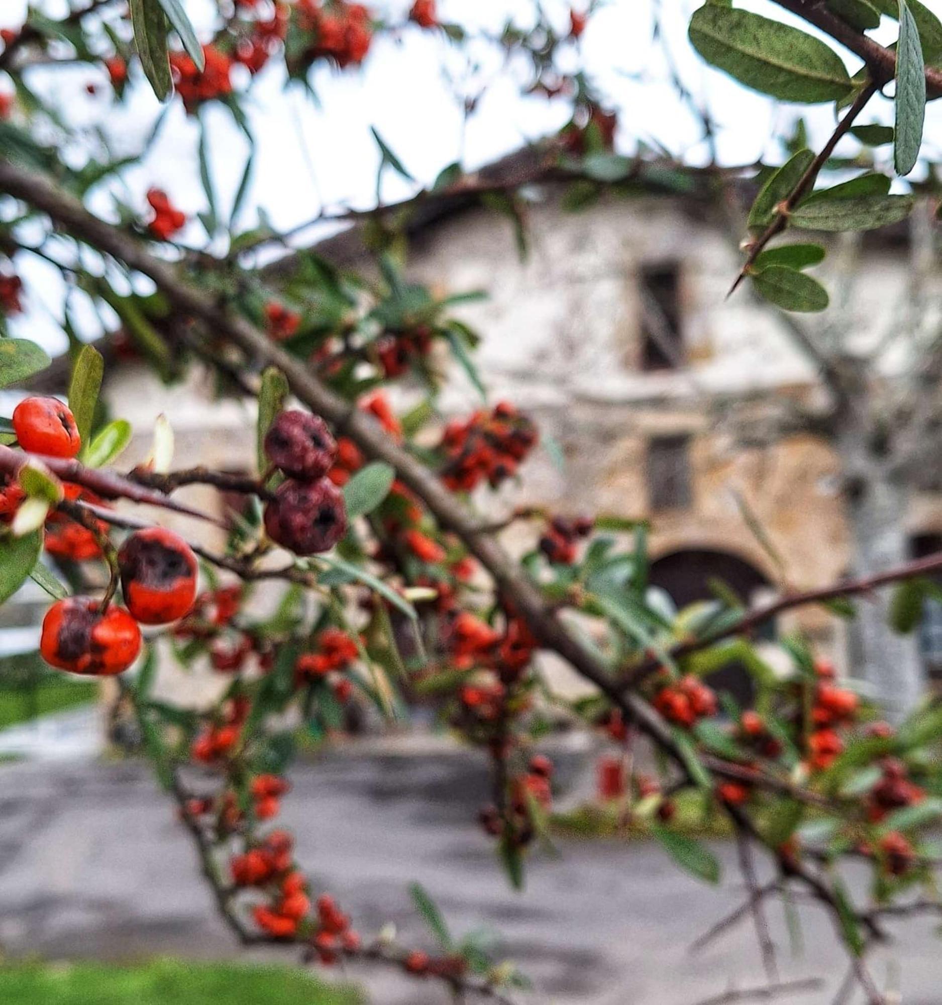 Casa Rural Areano Escoriaza エクステリア 写真
