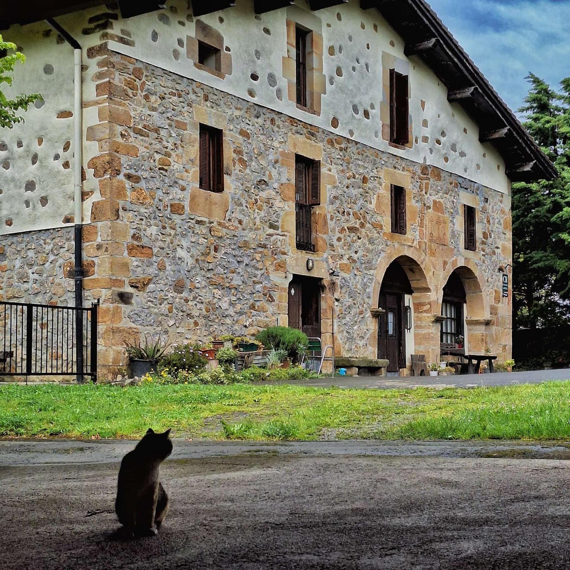 Casa Rural Areano Escoriaza エクステリア 写真