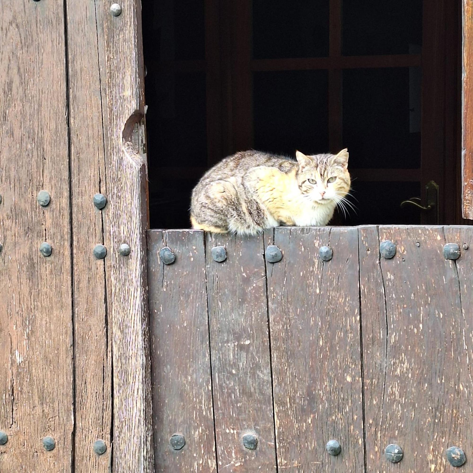 Casa Rural Areano Escoriaza エクステリア 写真