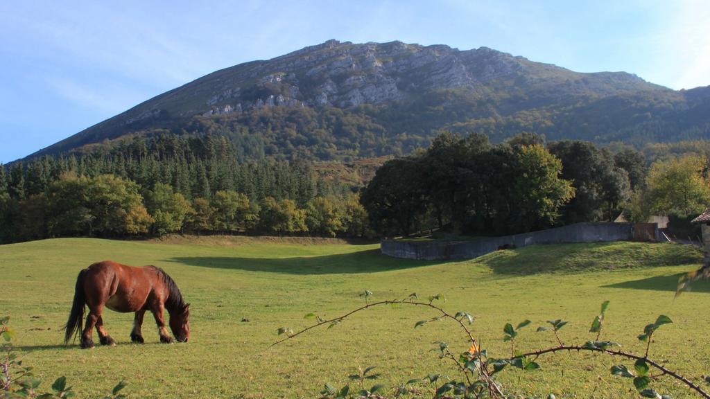 Casa Rural Areano Escoriaza エクステリア 写真